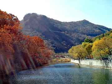 新澳天天开奖资料大全旅游团，转世之神